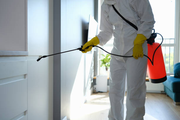 Best Mold Testing  in Pulaski, WI
