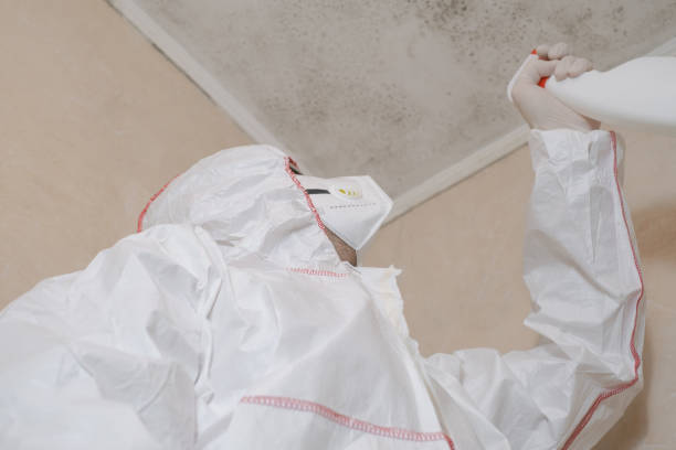 Best Crawl Space Mold Removal  in Pulaski, WI