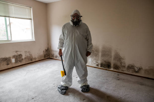 Best Emergency Mold Removal  in Pulaski, WI